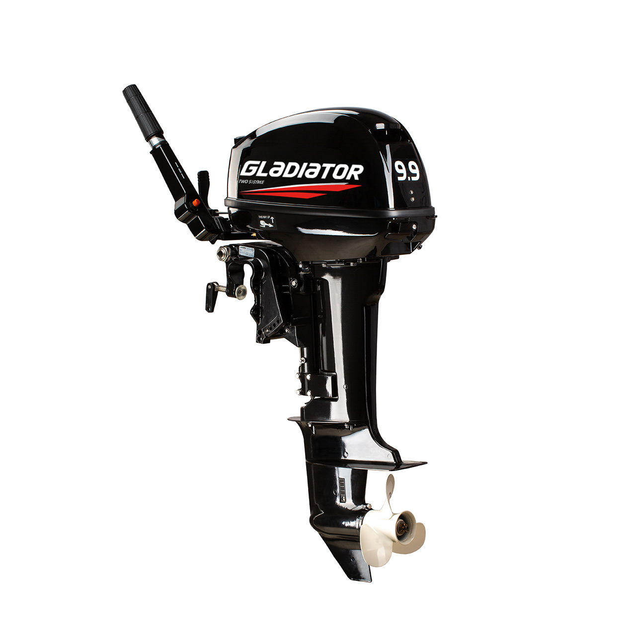 ЛОДОЧНЫЙ МОТОР GLADIATOR G9.9FHS в Копейске