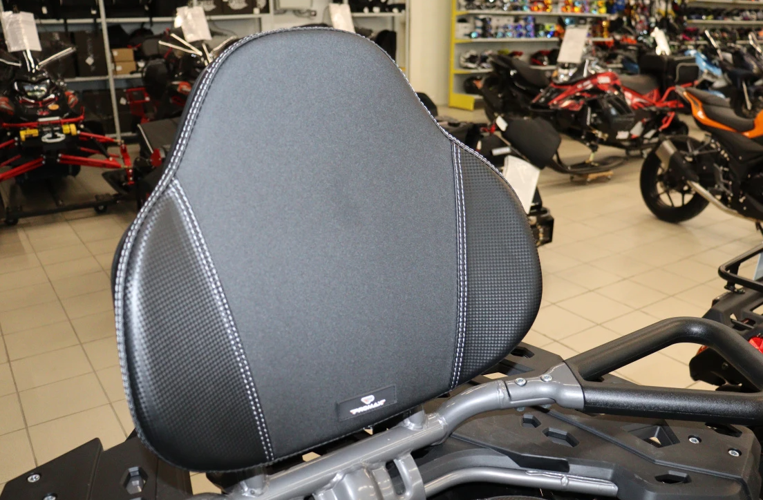 Квадроцикл PROMAX RENEGADE 300 LONG WINCH PRO (2025) в Копейске