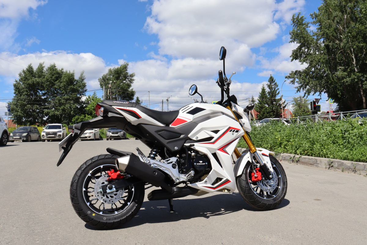 Мотоцикл PROMAX STRYKER 200(49) 2.0 в Копейске