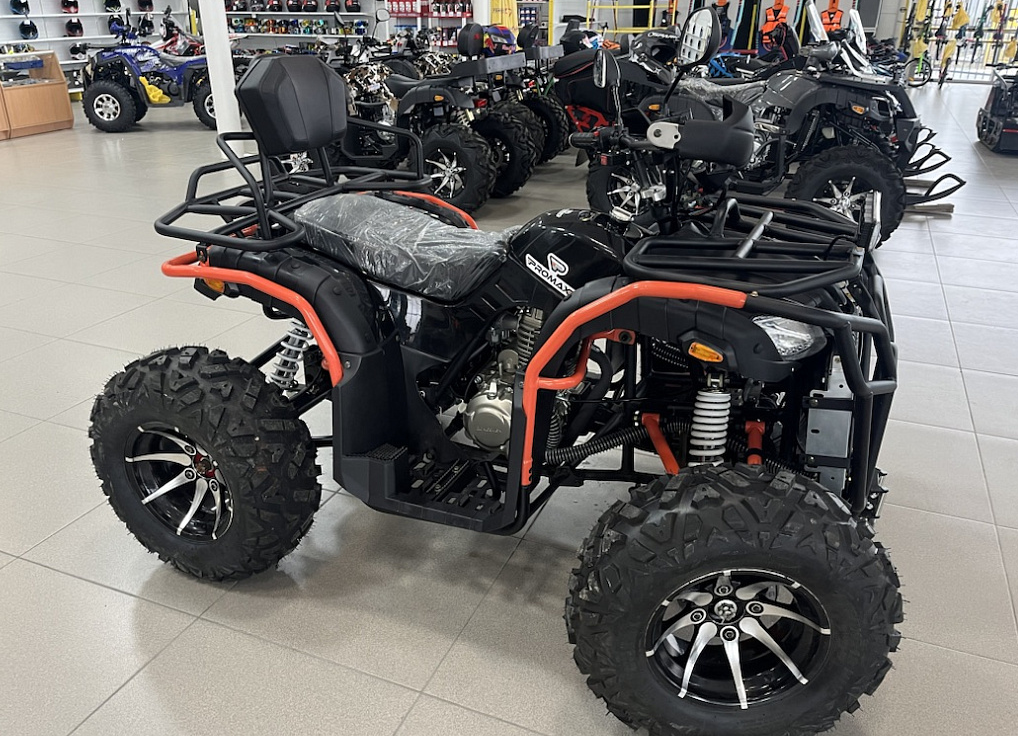 Квадроцикл PROMAX 300 4X4 ALL ROAD в Копейске