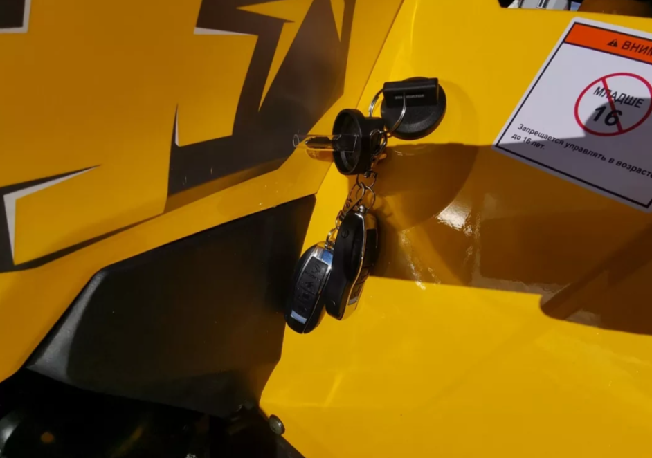 Квадроцикл MOTOLAND (МОТОЛЕНД) VOX200 WILD TRACK X PRO (баланс. вал) в Копейске