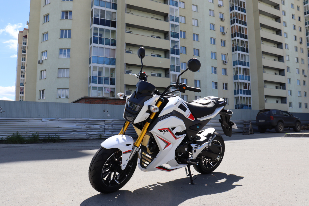 Мотоцикл PROMAX STRYKER 200(49) 2.0 в Копейске