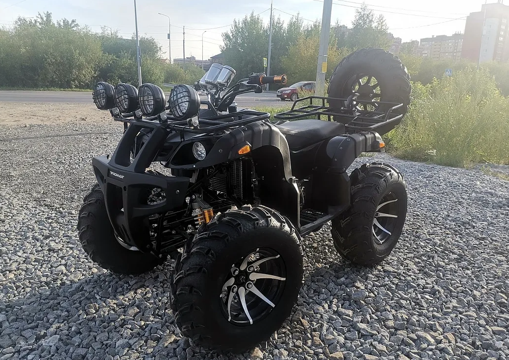 Квадроцикл PROMAX LEO 300 Max (кардан) в Копейске