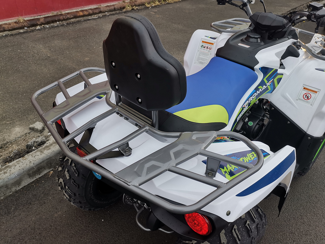 Квадроцикл PROMAX RENEGADE 280 LUX (2025) в Копейске