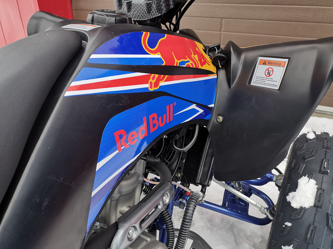 Квадроцикл PROMAX RAPTOR 300 NEW RedBull в Копейске