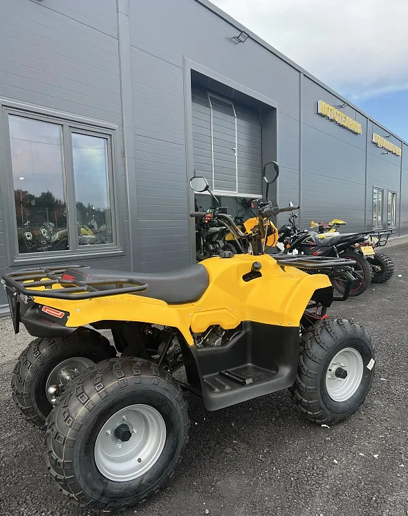 КВАДРОЦИКЛ IRBIS ATV 250  в Копейске