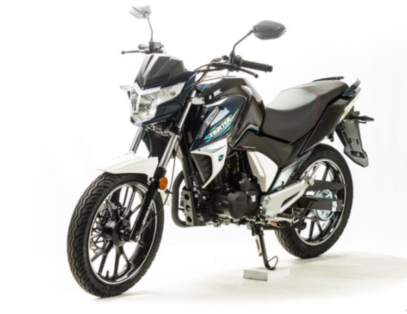 Мотоцикл MOTOLAND (МОТОЛЕНД) FIGHTER 250 в Копейске