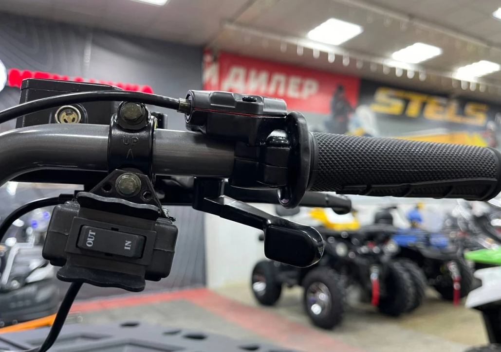 Квадроцикл PROMAX RENEGADE 300 LONG WINCH PRO (2025) в Копейске