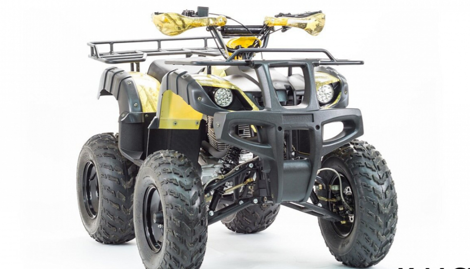 Квадроцикл MOTOLAND (МОТОЛЕНД) 250 ADVENTURE в Копейске