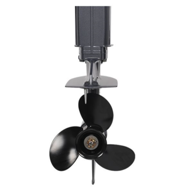 Лодочный мотор ALLFA CG Т40FW S в Копейске