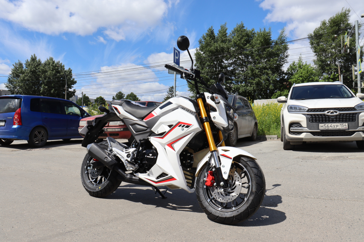 Мотоцикл PROMAX STRYKER 200(49) 2.0 в Копейске