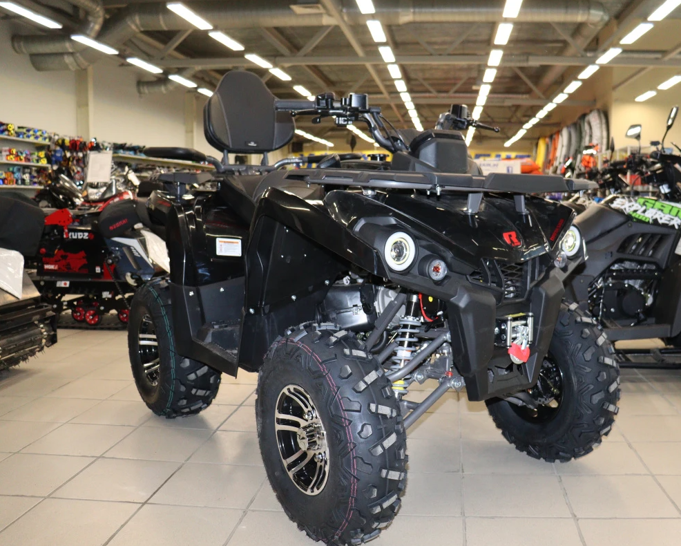 Квадроцикл PROMAX RENEGADE 300 LONG WINCH PRO (2025) в Копейске