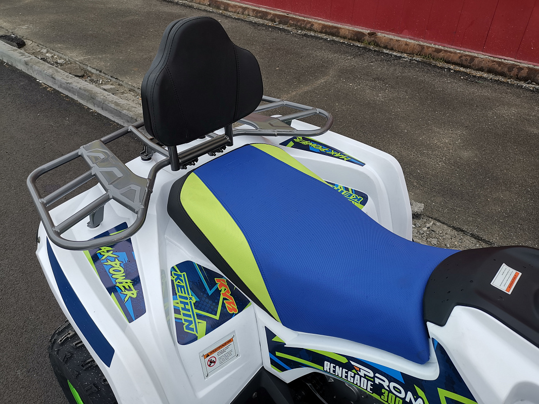 Квадроцикл PROMAX RENEGADE 280 LUX (2025) в Копейске