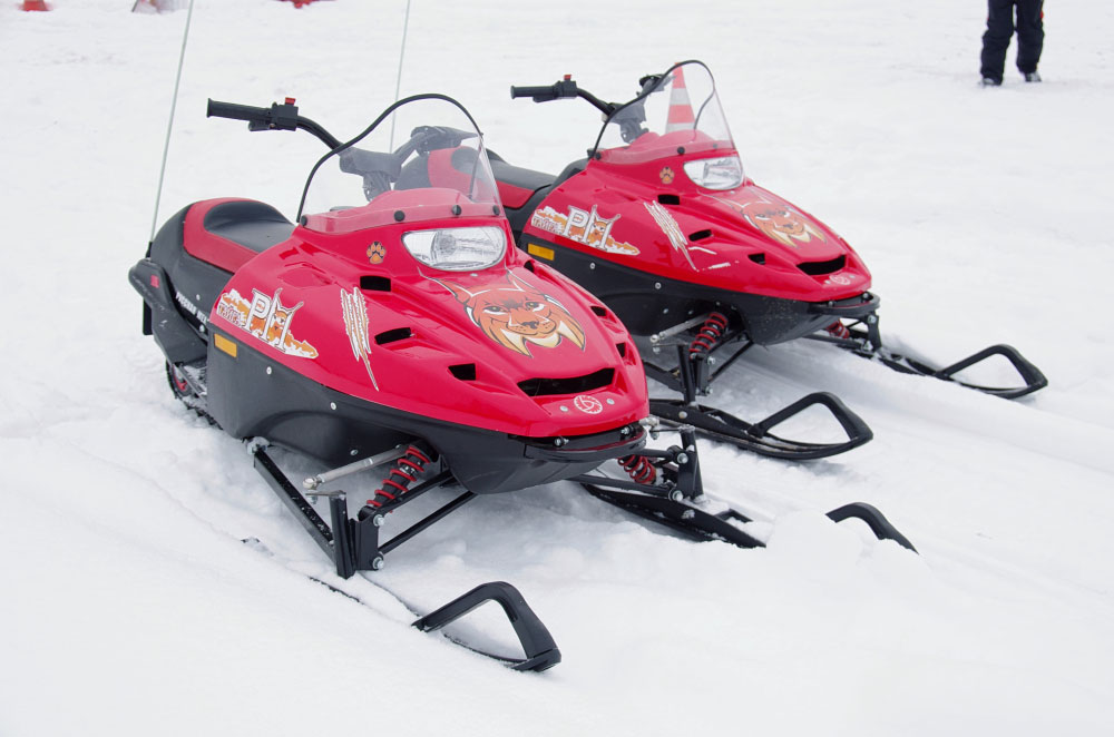 Снегоход РМ ТАЙГА РЫСЬ в Копейске