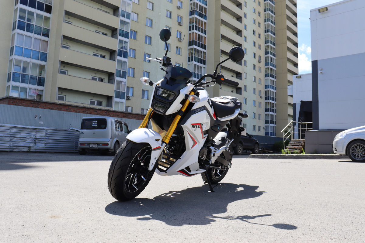Мотоцикл PROMAX STRYKER 200(49) 2.0 в Копейске