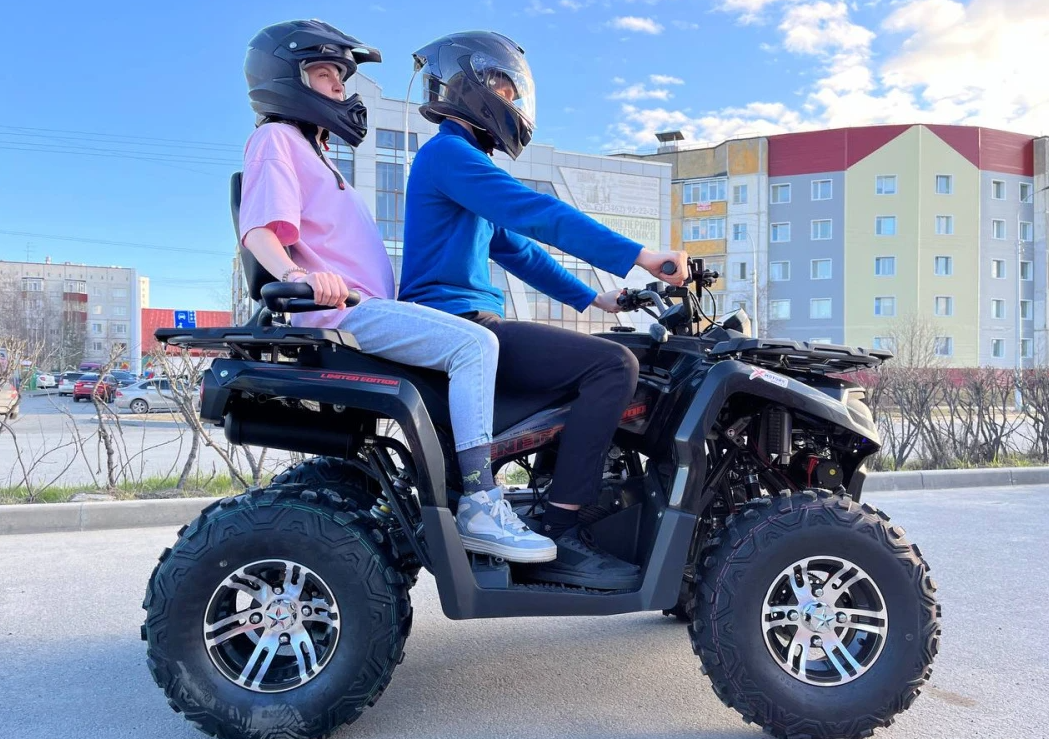 Квадроцикл PROMAX RENEGADE 300 LONG WINCH PRO (2025) в Копейске