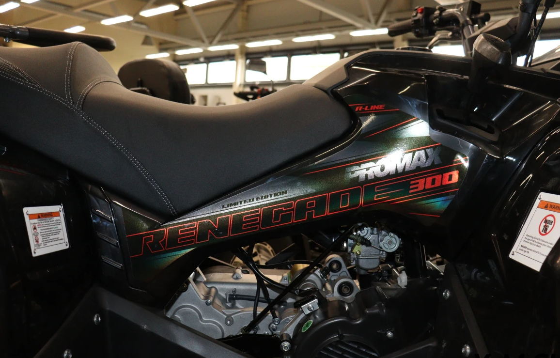 Квадроцикл PROMAX RENEGADE 300 LONG WINCH PRO (2025) в Копейске