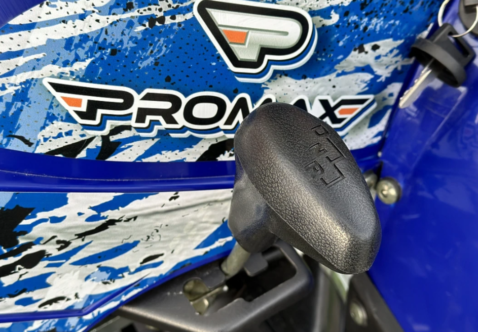  Квадроцикл PROMAX ATV 250 MAX (2025) в Копейске