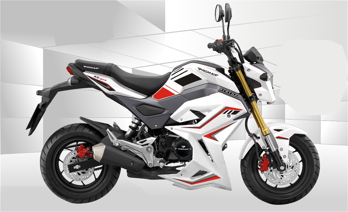 Мотоцикл PROMAX STRYKER 200(49) 2.0 в Копейске