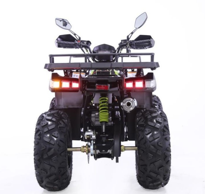 Квадроцикл YACOTA WARRIOR 200 PRO в Копейске