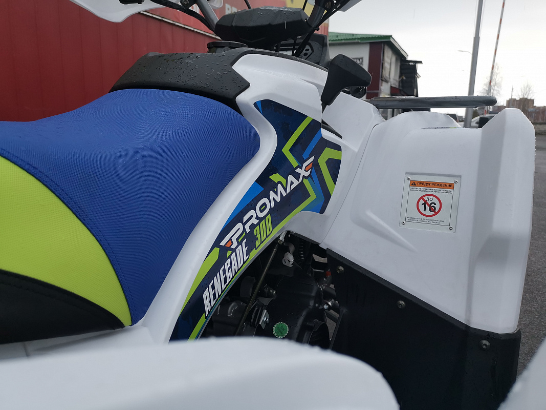 Квадроцикл PROMAX RENEGADE 280 LUX (2025) в Копейске