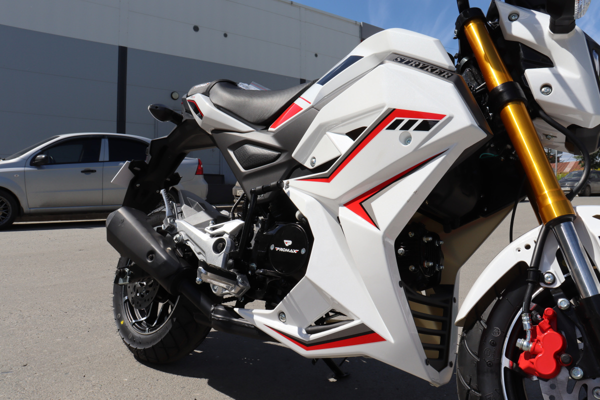 Мотоцикл PROMAX STRYKER 200(49) 2.0 в Копейске