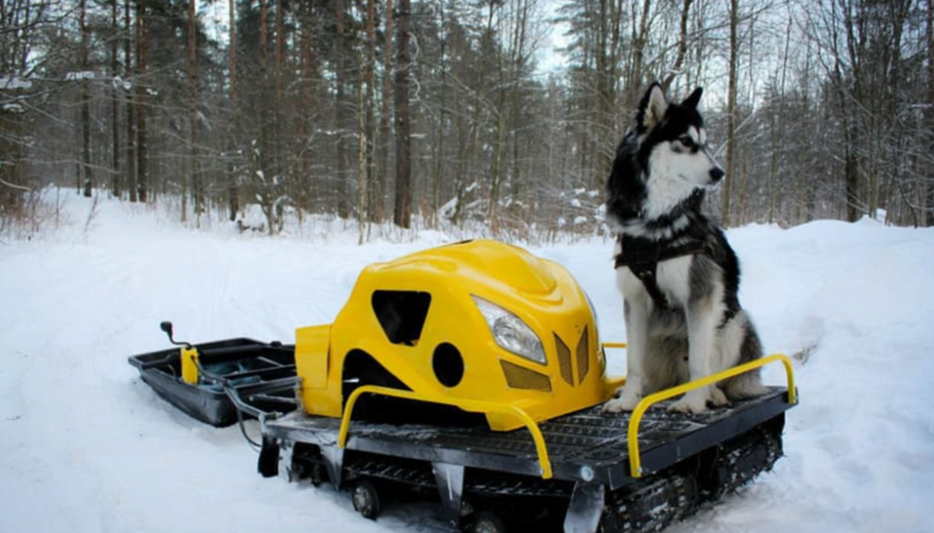 Мотобуксировщик LEBEDEV MOTORS ВОЛКОДАВ POWER V13 в Копейске