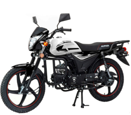 Мопед MOTOLAND (МОТОЛЕНД) Альфа RS 11 (LM48-B) в Копейске