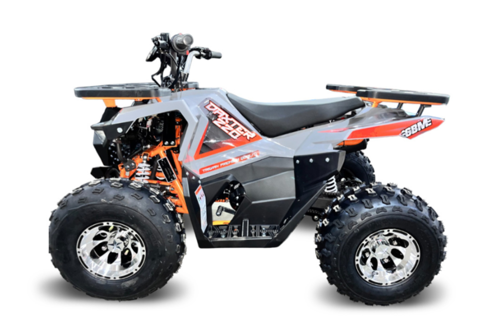 Квадроцикл GBM DAXTER 220 NEW PREMIUM в Копейске