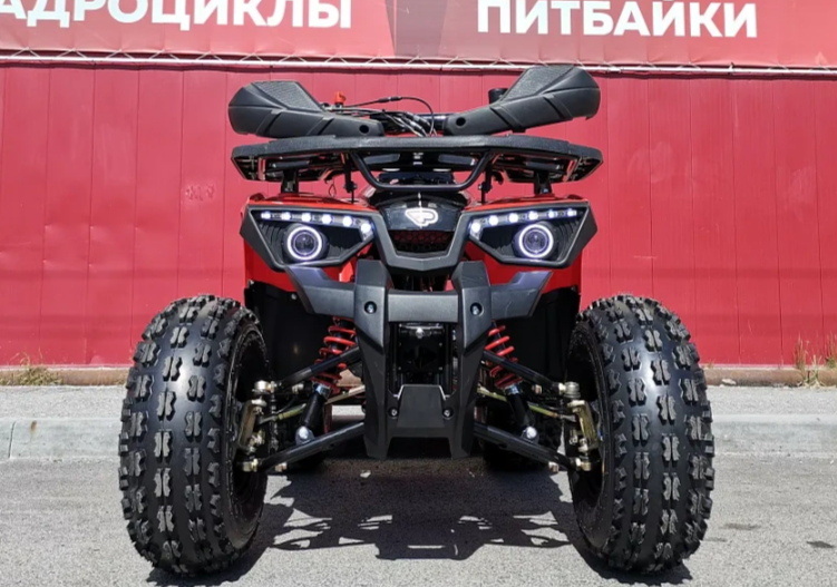 Квадроцикл PROMAX WILD 175 BASIC в Копейске
