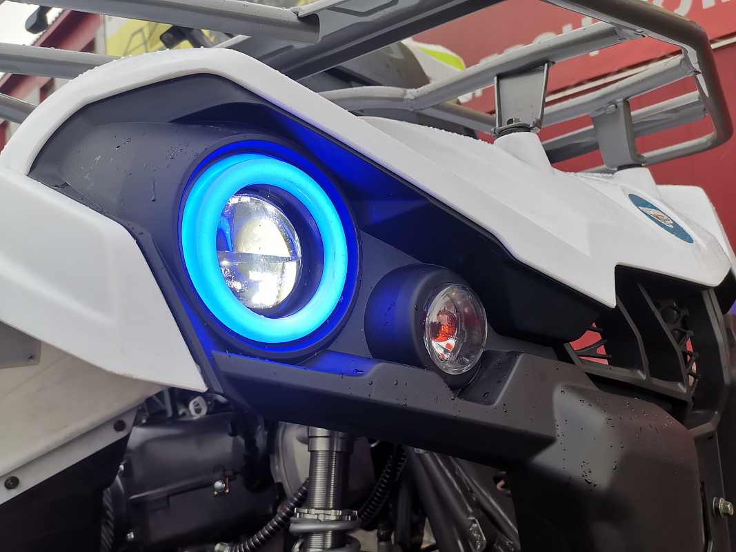 Квадроцикл PROMAX RENEGADE 280 LUX (2025) в Копейске