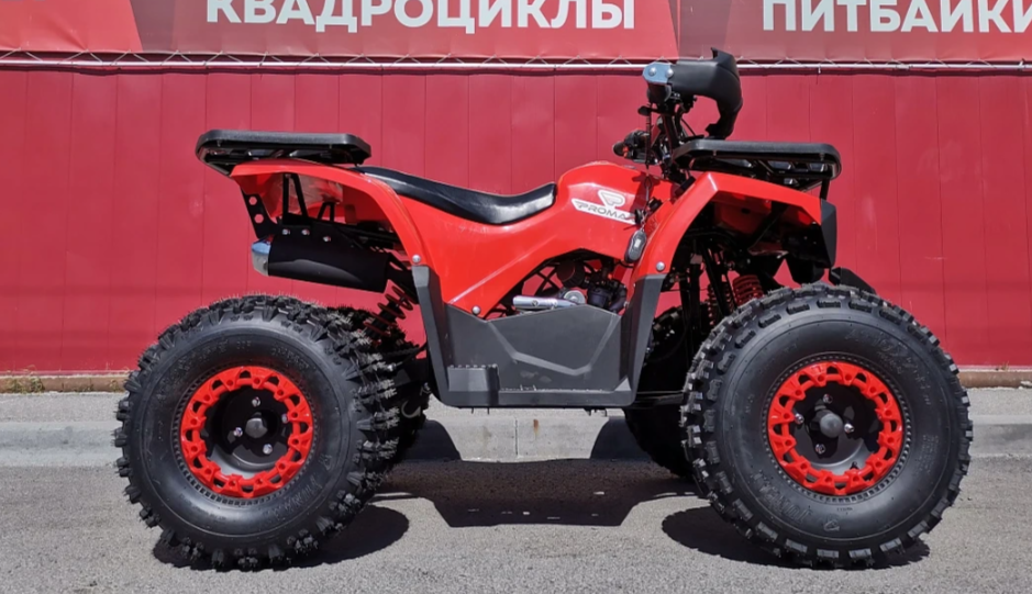 Квадроцикл PROMAX WILD 175 BASIC в Копейске