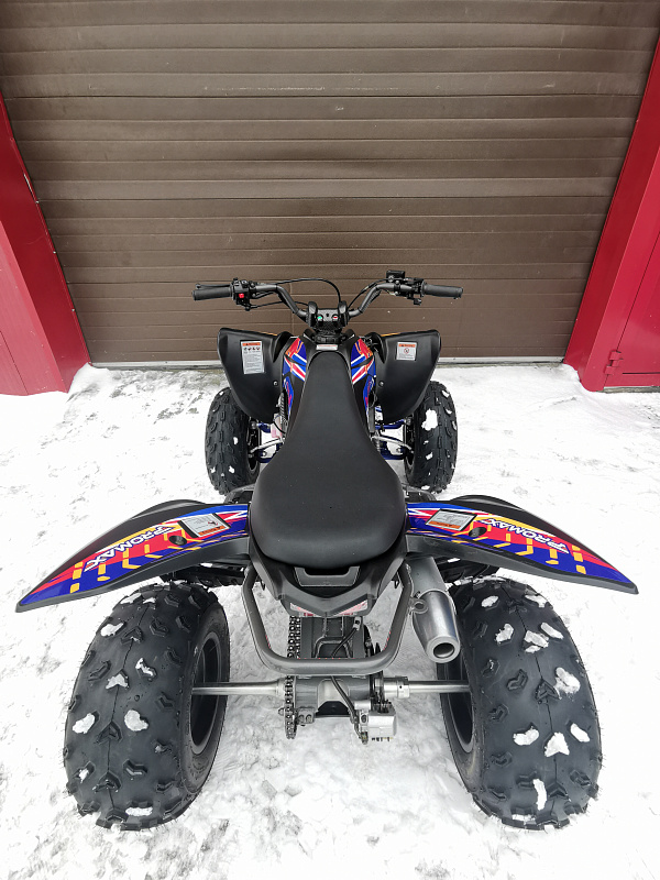 Квадроцикл PROMAX RAPTOR 300 NEW RedBull в Копейске