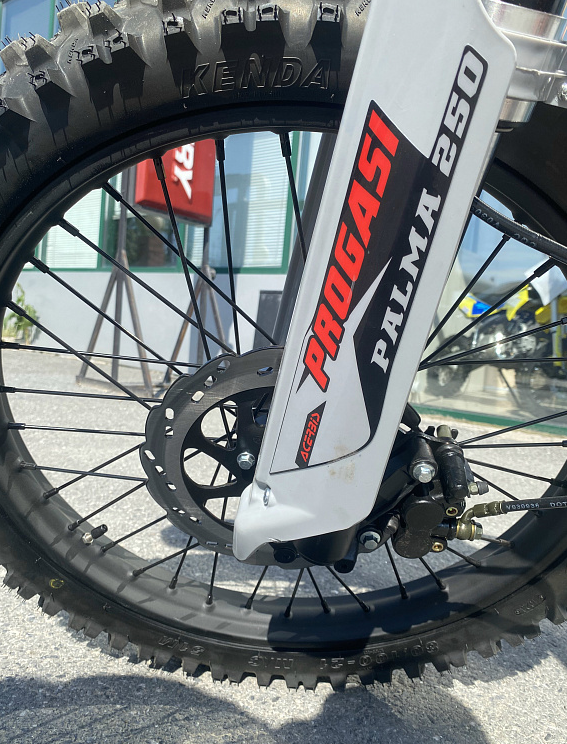 Мотоцикл Progasi PALMA 300 NEW (CB300F) в Копейске