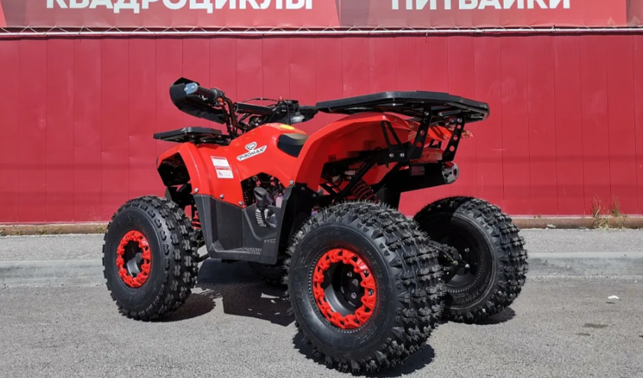 Квадроцикл PROMAX WILD 175 BASIC в Копейске