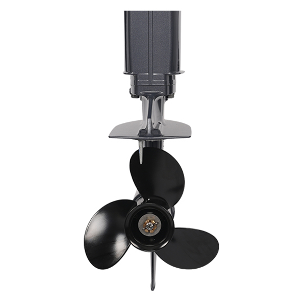 Лодочный мотор ALLFA CG T9.9(20) MAX Limit в Копейске