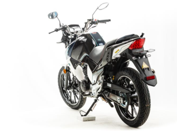 Мотоцикл MOTOLAND (МОТОЛЕНД) FIGHTER 250 в Копейске