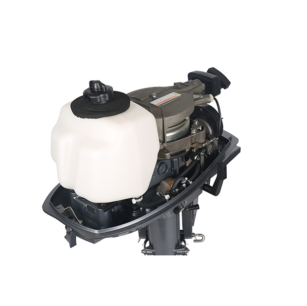 ЛОДОЧНЫЙ МОТОР ALLFA CG T5 в Копейске