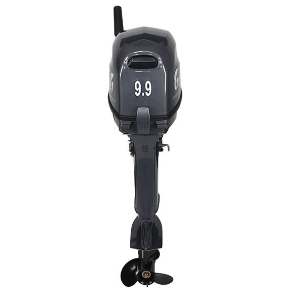 Лодочный мотор ALLFA CG Т9.9(20)MAX в Копейске