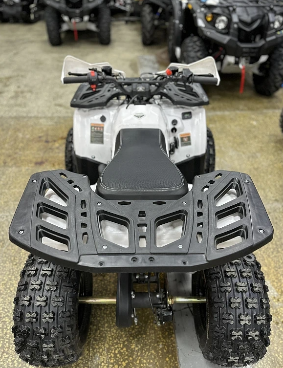 Квадроцикл PROMAX WILD 2.0 190 в Копейске