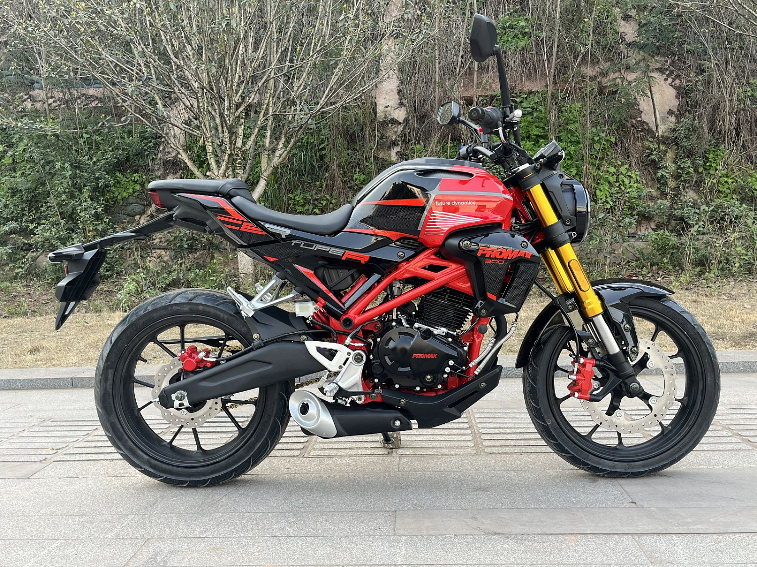 Мотоцикл PROMAX CB300 в Копейске