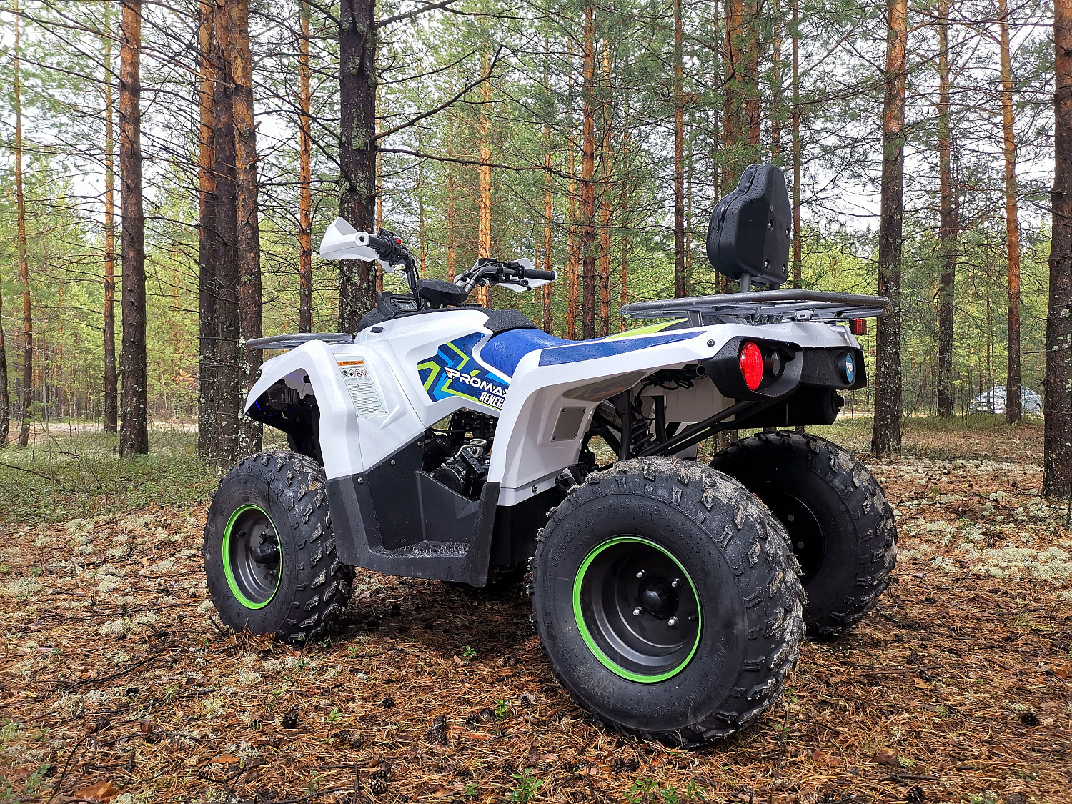 Квадроцикл PROMAX RENEGADE 280 (2025) в Копейске