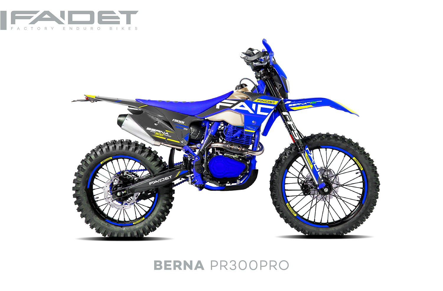 Кроссовый мотоцикл FAIDET BERNA PR300-PRO FPS в Копейске