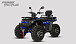 Квадроцикл PROMAX TAURUS 300 MAX-PRO LONG в Копейске