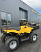 КВАДРОЦИКЛ IRBIS ATV 250  в Копейске