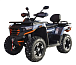 Квадроцикл MOTOLAND (МОТОЛЕНД) 300 MAX X в Копейске
