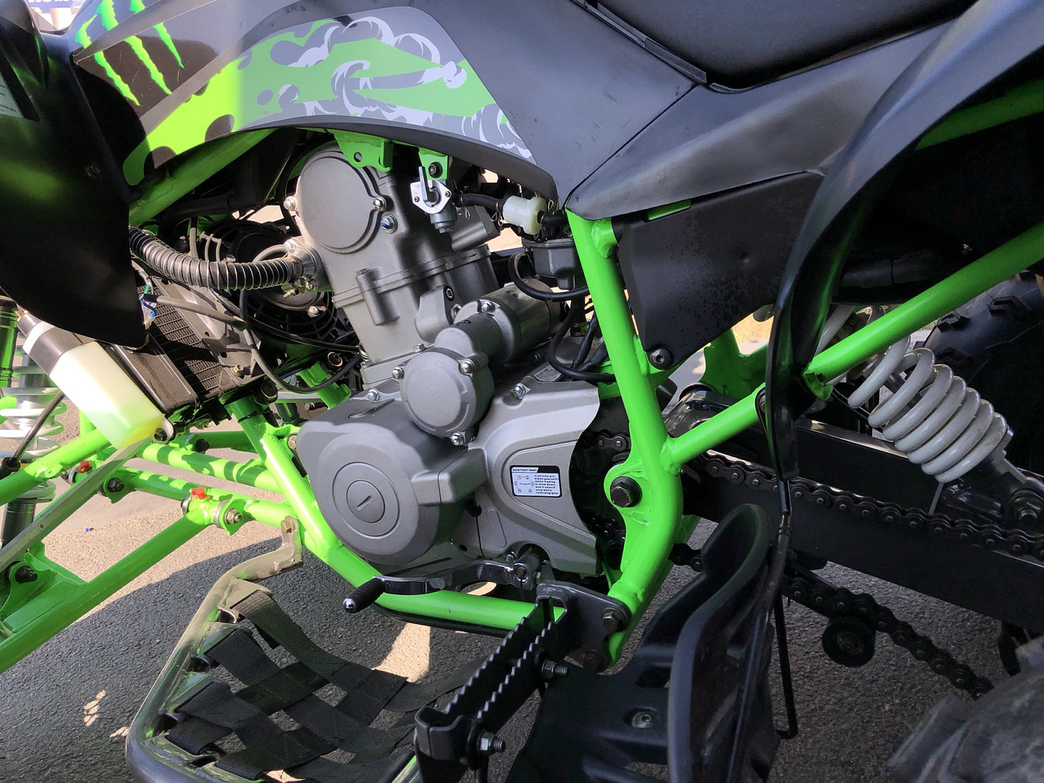 Квадроцикл PROMAX RAPTOR 300 NEW Monster в Копейске