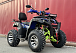  Квадроцикл PROMAX ATV 250 MAX (2025) в Копейске