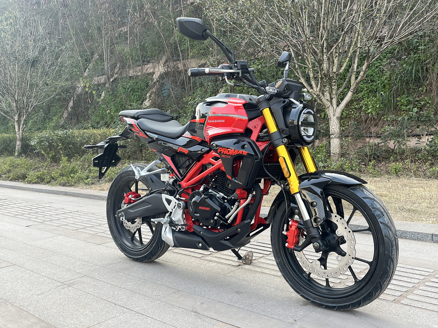 Мотоцикл PROMAX CB300 в Копейске