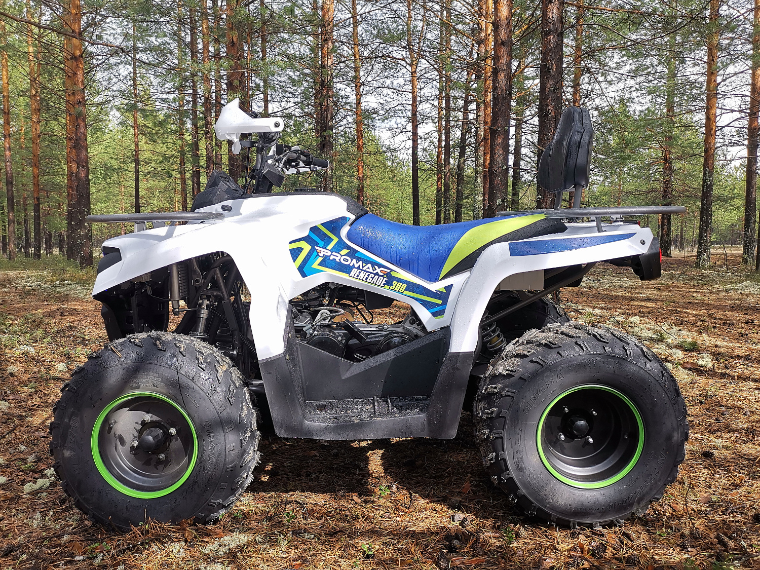 Квадроцикл PROMAX RENEGADE 280 (2025) в Копейске
